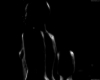dark-bodies-revisited