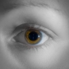 eye study monochrome